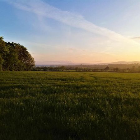 Moneylands Farm B&B Arklow Ngoại thất bức ảnh