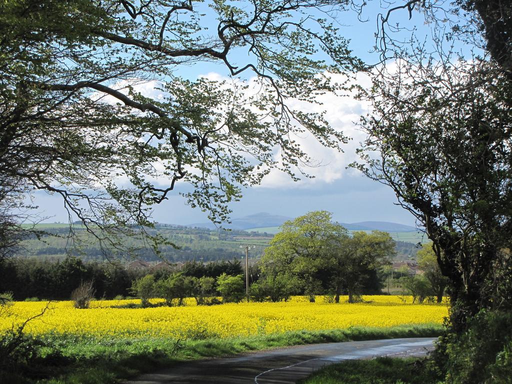 Moneylands Farm B&B Arklow Ngoại thất bức ảnh